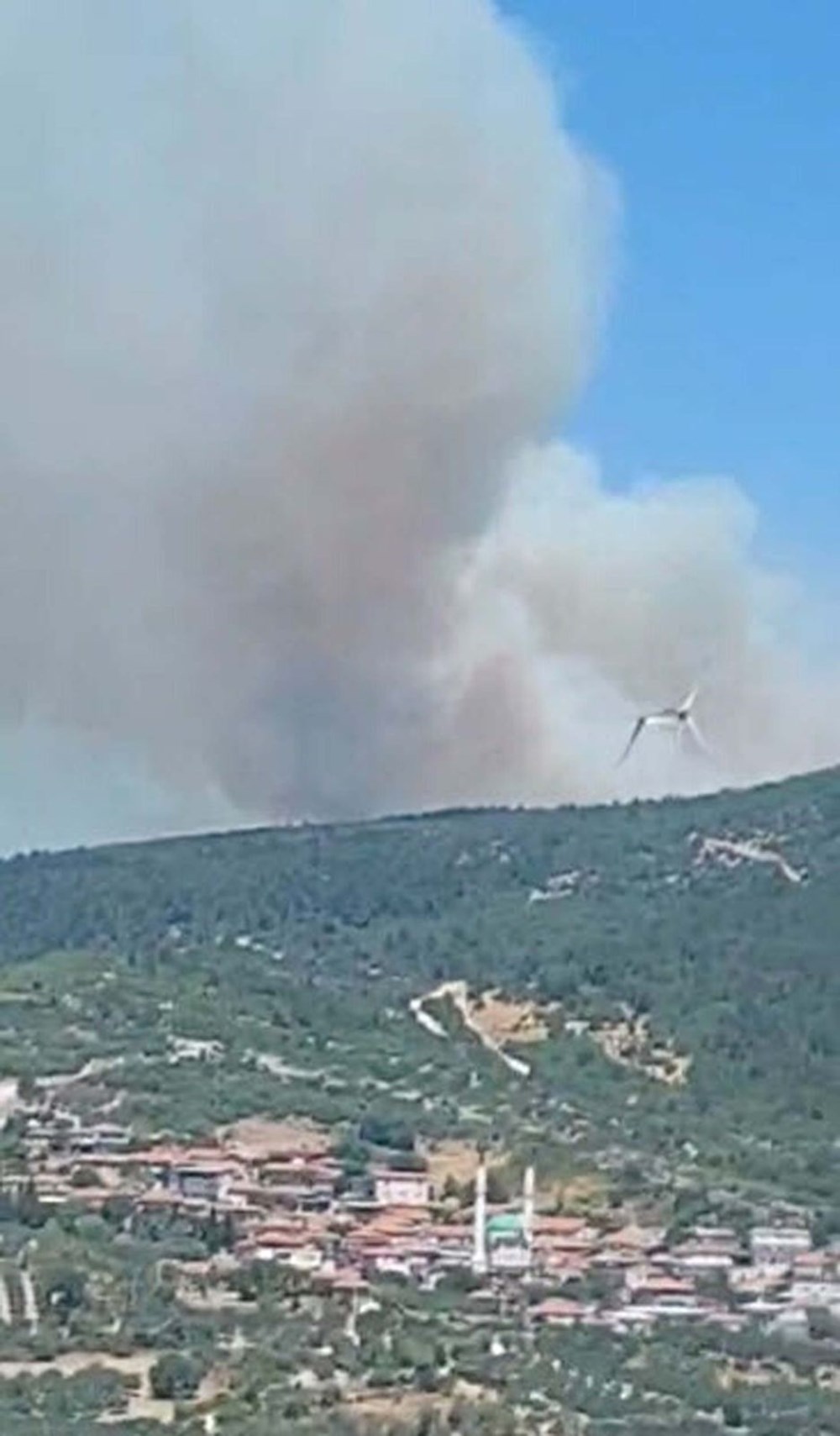 Çeşme'deki orman yangınında 3 kişi hayatını kaybetti - 7