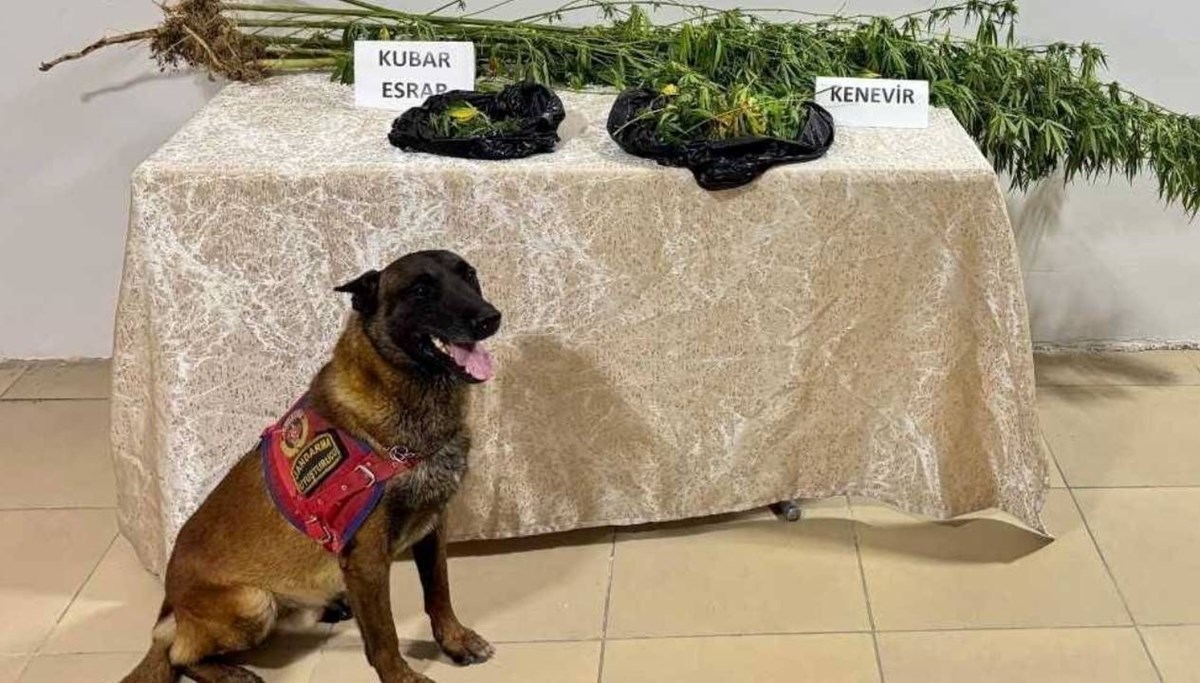 Elazığ'da uyuşturucu operasyonu