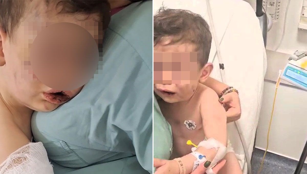 Dayak vahşetinde ifadeler ortaya çıktı