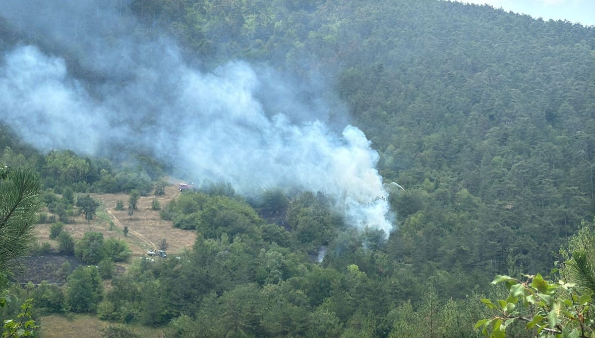 Bolu'da orman yangını