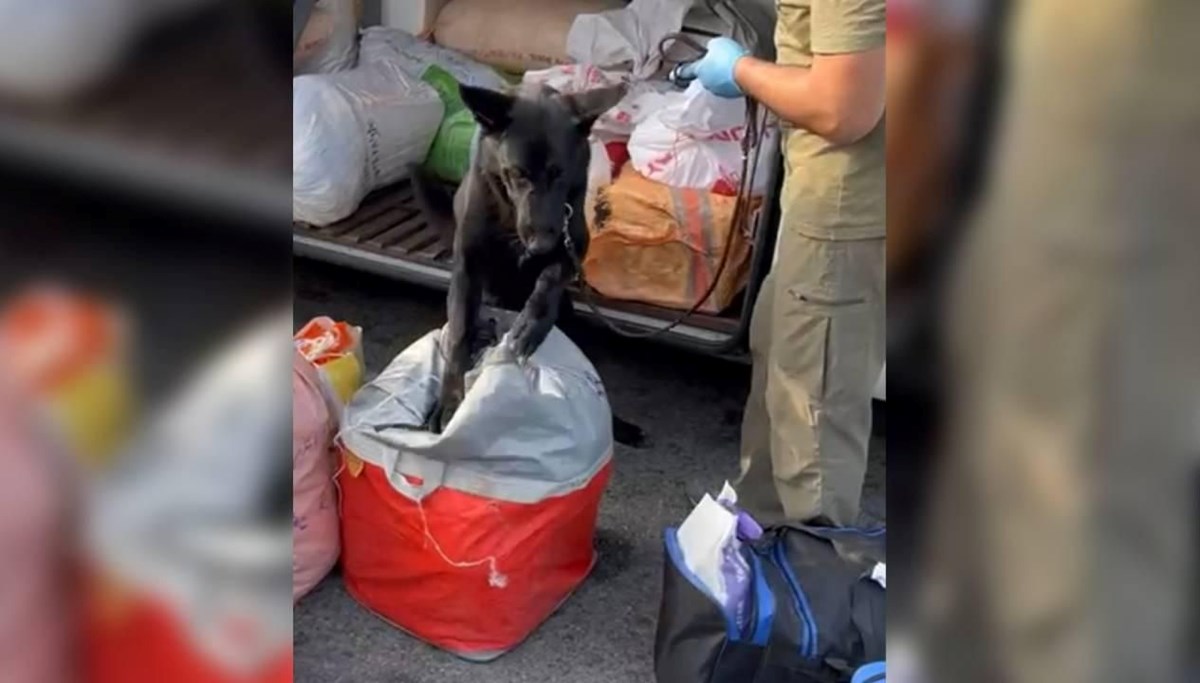 Yolcu otobüsünde 7,5 kilogram uyuşturucu ele geçirildi