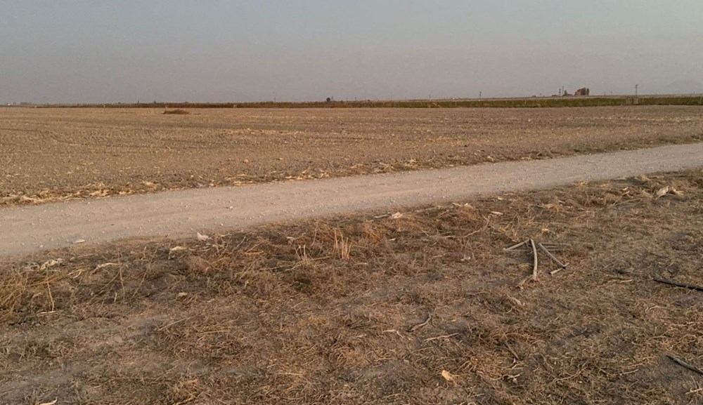 Konuşma bahanesiyle kandırdığı eski eşini katletti - 3