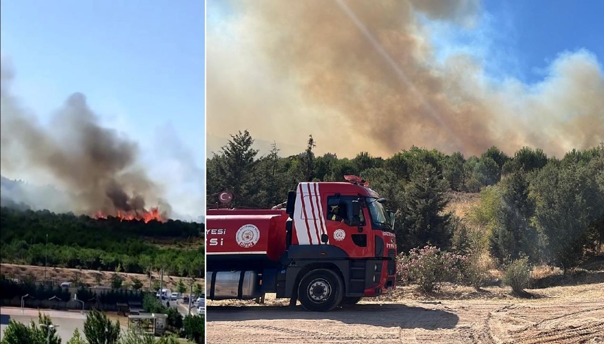 Gebze'de orman yangını