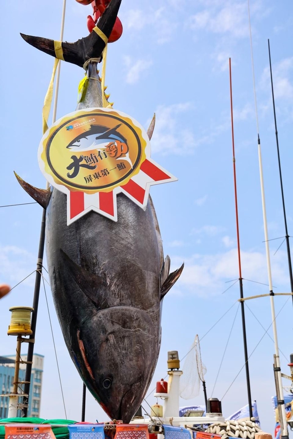 Genre Hævde Converge Tayvan'da dev ton balığı rekor fiyata satıldı - Son Dakika Dünya Haberleri  | NTV Haber