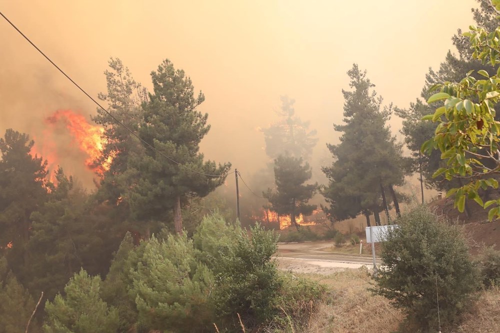 Antalya, Çanakkale, Manisa, Balıkesir, İzmir ve Kütahya’da orman
yangını - 11