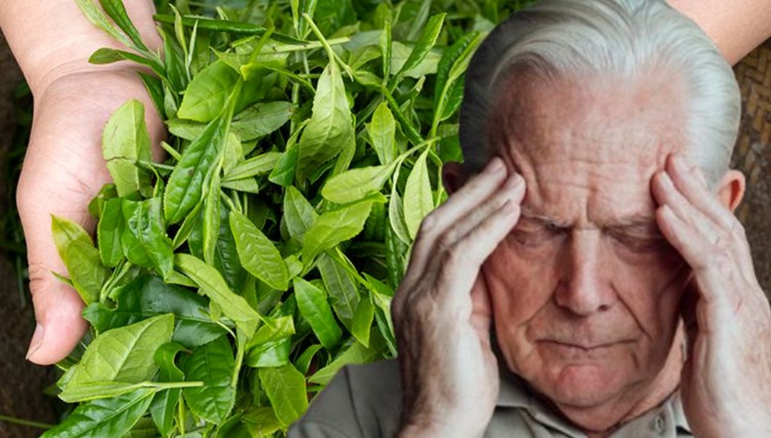 Bilim insanları duyurdu: Beyin yaşlanmasını önlemenin yolu buymuş