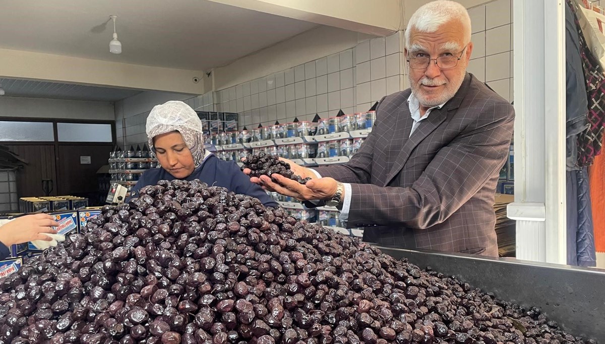 Bursa ve Balıkesir üretecek: Rekolte tahminleri açıklandı