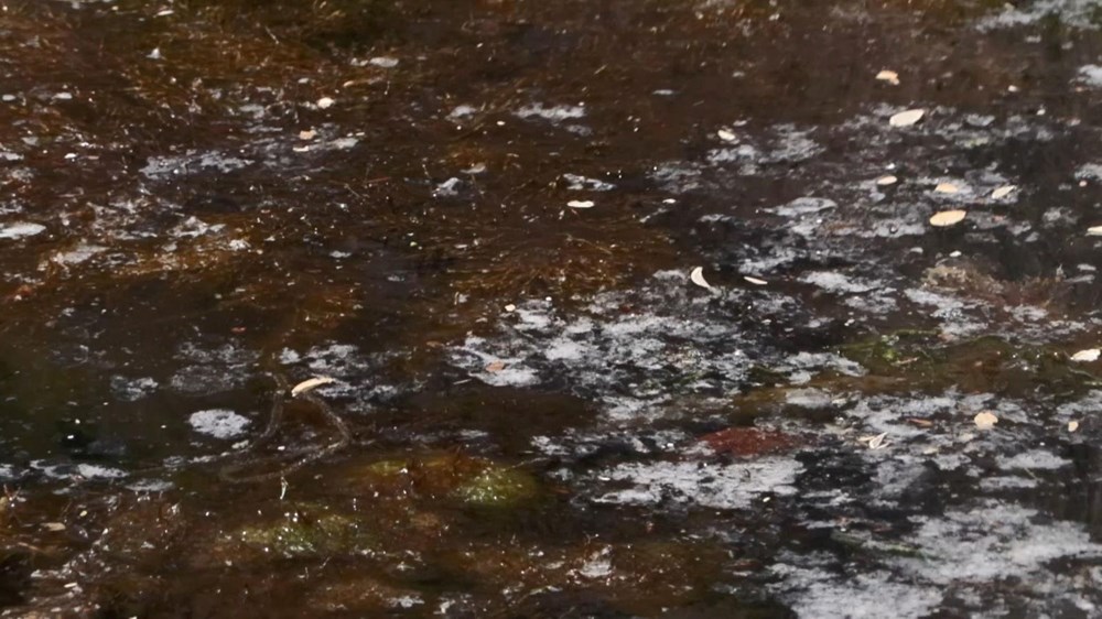 Marmara'nın kabusu İstanbul Boğazı'na geri döndü: