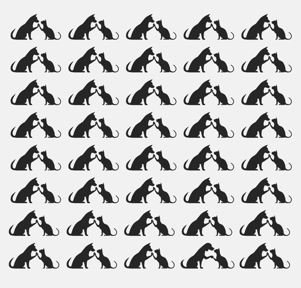 Bu görsel size kim olduğunuzu söylüyor: Resimde ilk önce hangi hayvanı gördünüz? - 57