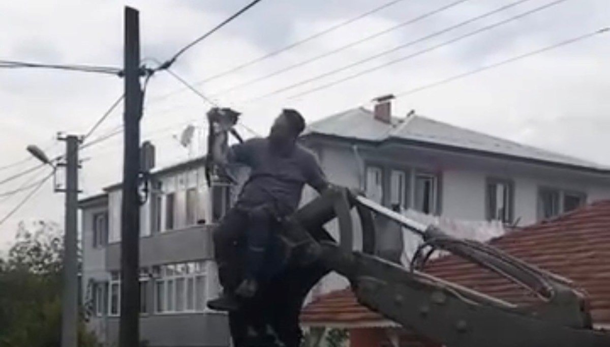 Köpeklerden kaçan kedi direkte mahsur kaldı