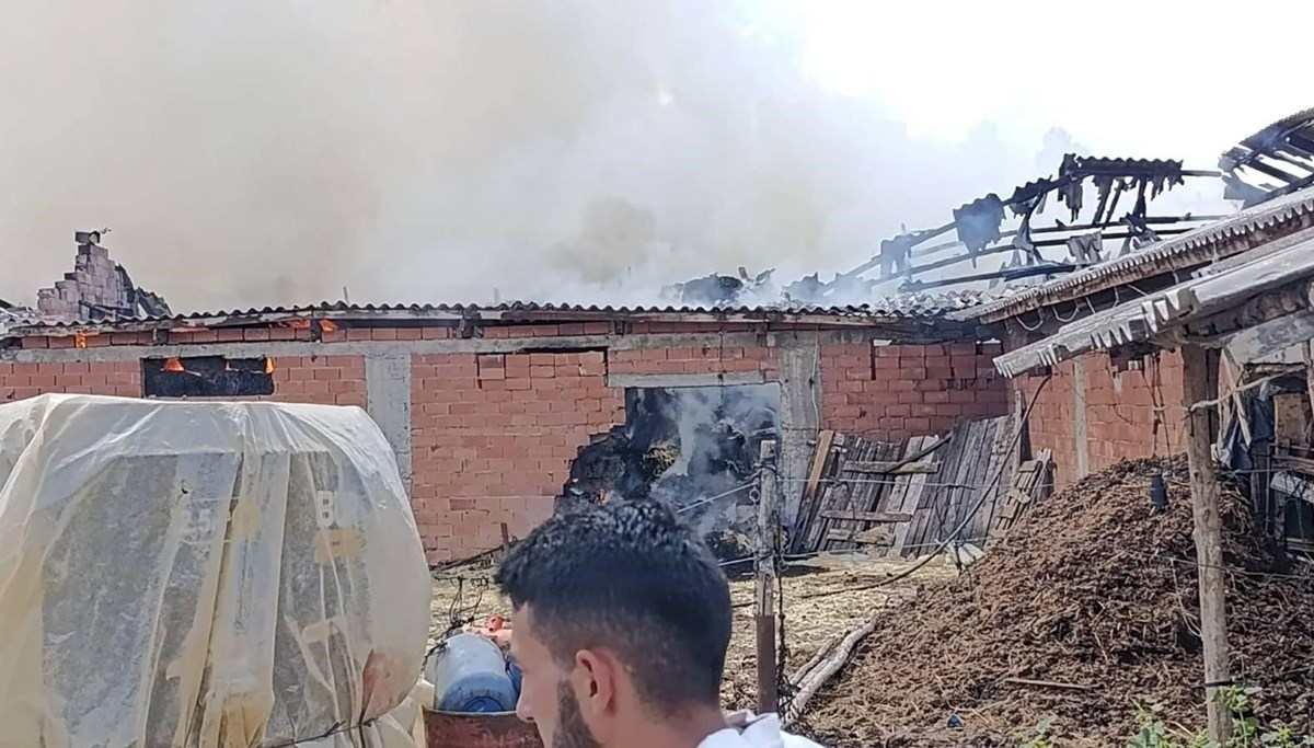 Bilecik'te samanlık alanda yangın çıktı