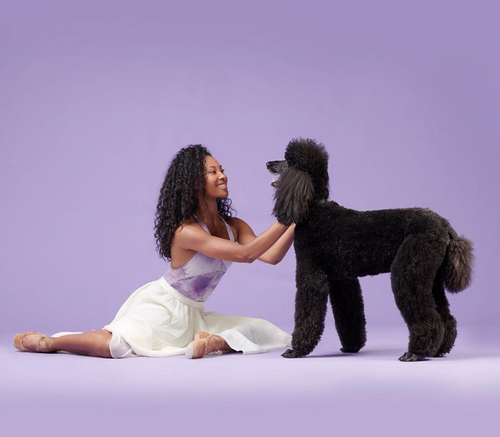 Dansçılar ve köpekleri projesi - 1