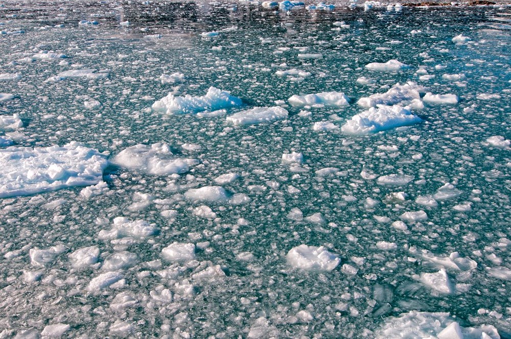İklim krizi: Antarktika’daki deniz buzu seviyeleri tarihin
en düşük seviyesine düştü - 2