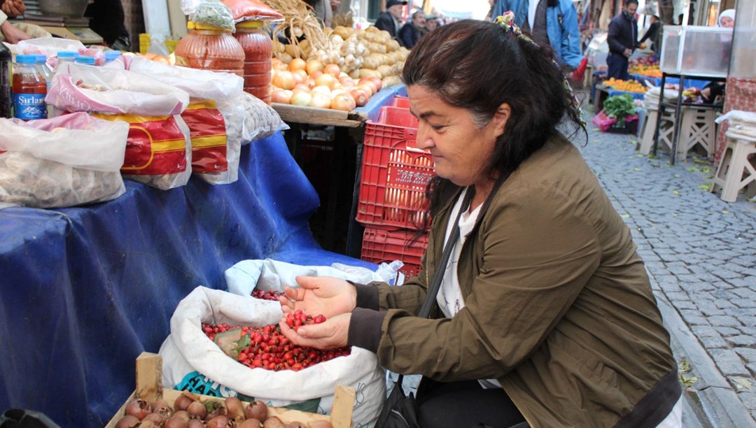 Dikenlerin arasından binbir zahmetle toplanıyor! Kilosu 120 TL'den satılıyor: C vitamini bombası