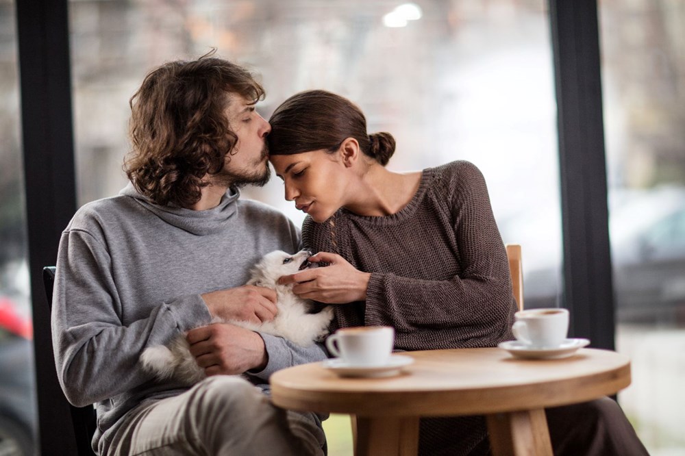 Tinder köpekli randevu özelliği getirdi - 1