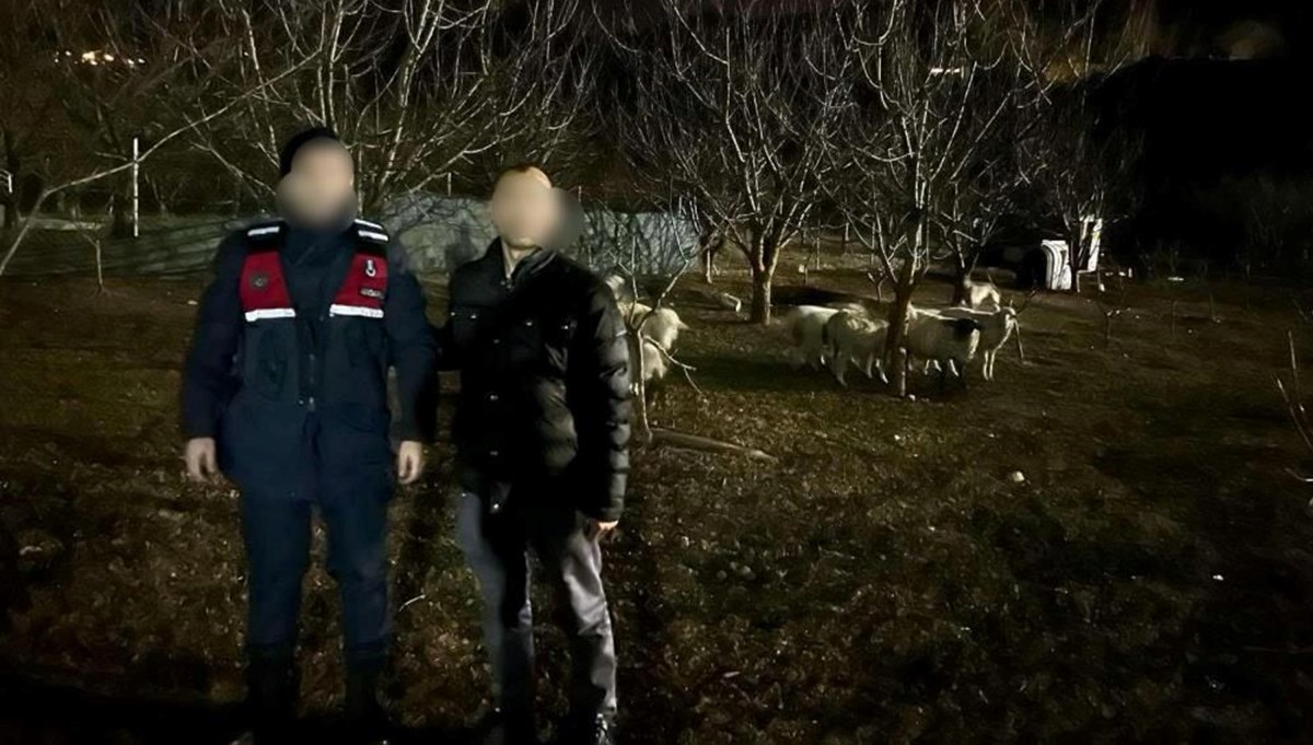 Kaybolan 10 küçükbaş hayvanı jandarma buldu