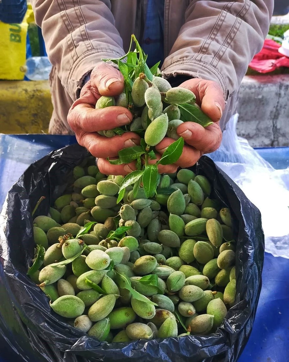 RXY8SNvLYEKDoQBcPOXChA