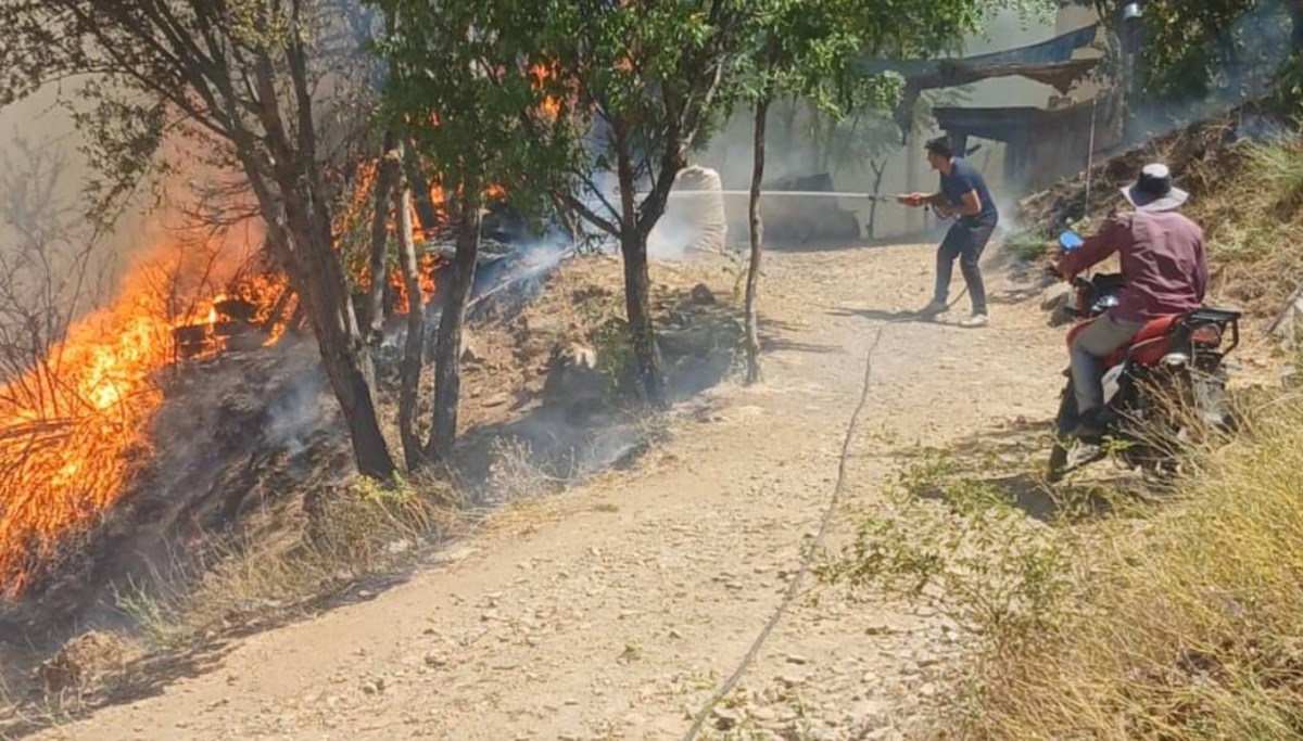 Denizli ve Malatya'da orman yangını: Müdahale sürüyor