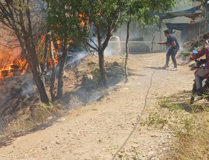 Denizli ve Malatya'da orman yangını: Müdahale sürüyor
