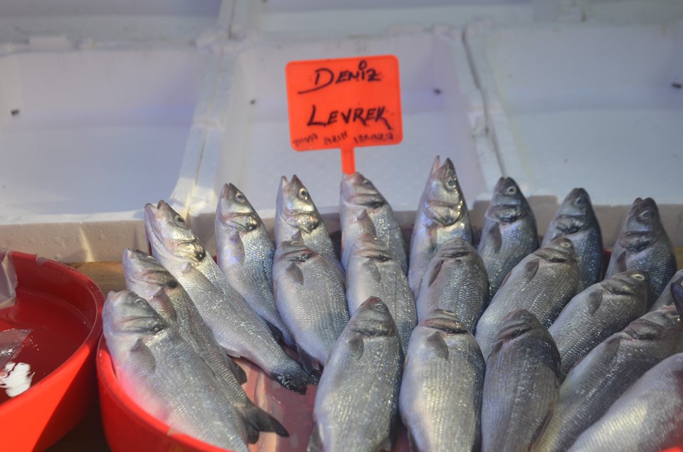 Marmara'da hamsi bolluğu: Fiyatı 80 liradan satılıyor - 1