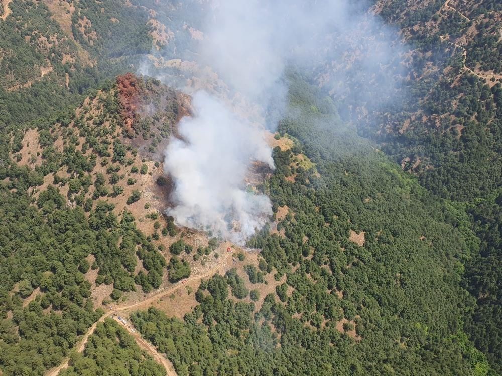 Antalya, Çanakkale, Manisa, Balıkesir, İzmir ve Kütahya’da orman
yangını - 6