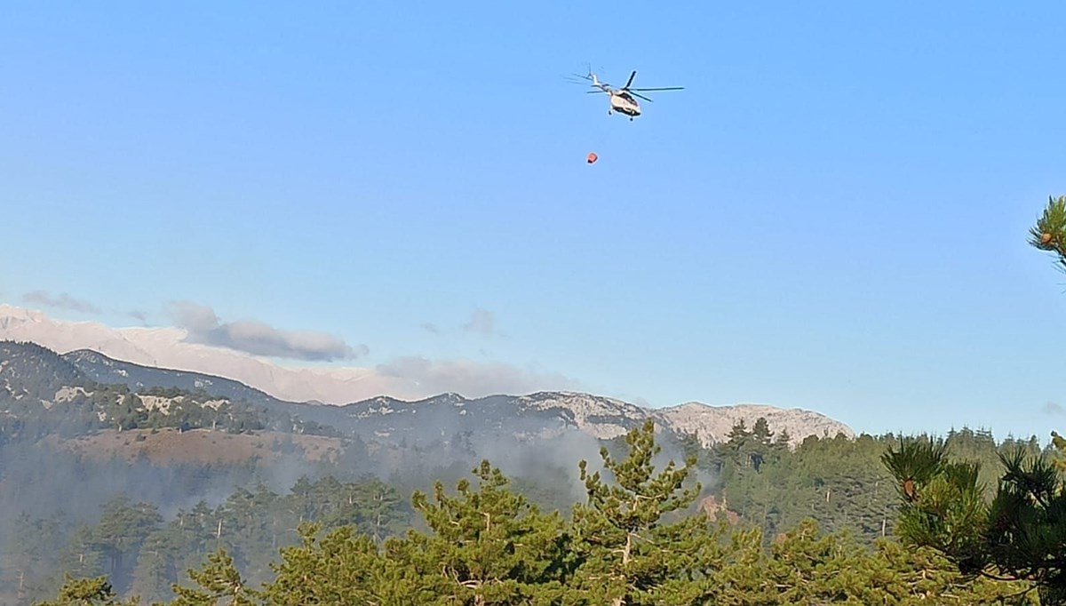 Adana'da orman yangını