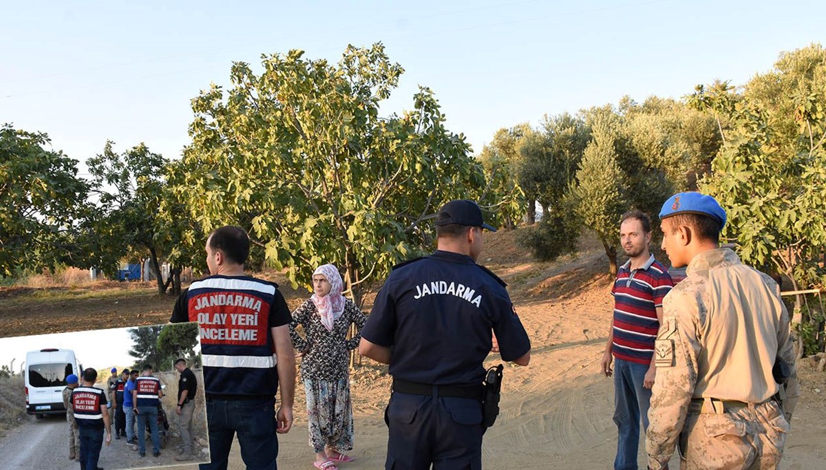 İncir ve zeytin bahçelerinde hırsız nöbeti