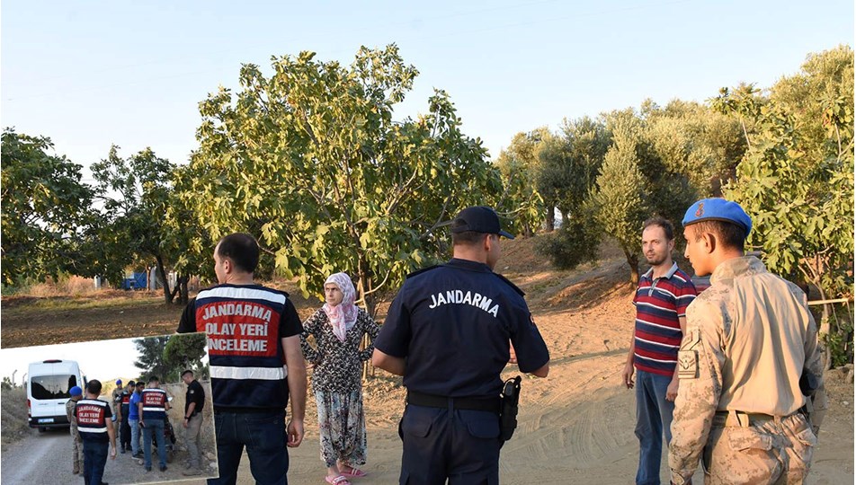 İncir ve zeytin bahçelerinde hırsız nöbeti