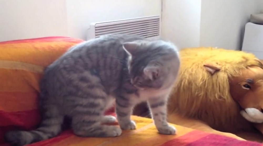 Человек с фотоаппаратом. Игровая приставка. Человек предед камерой. Funny plox. Интервью на камеру.