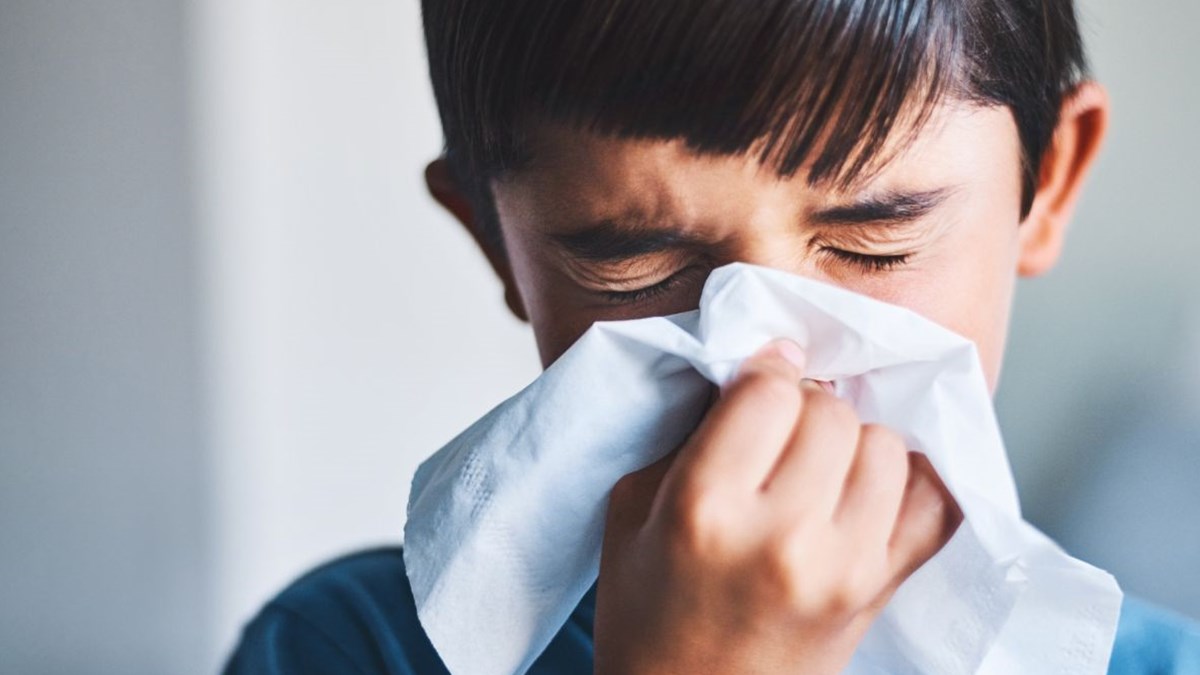 Okullara Alerjik Cocuklar Icin Uyari Saglik Haberleri Ntv