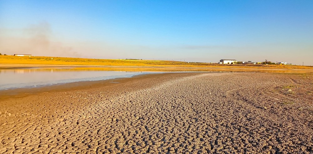 Kabaklı Göleti can çekişiyor: "Kuş cennetini maalesef kaybetmek üzereyiz!" - 1