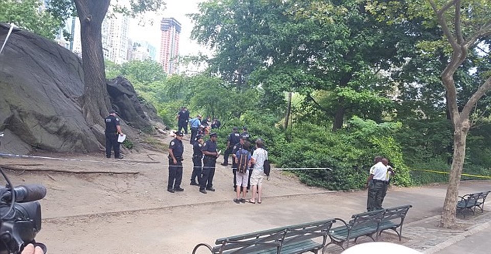 Central Park'ta patlama: 1 yaralı - 1