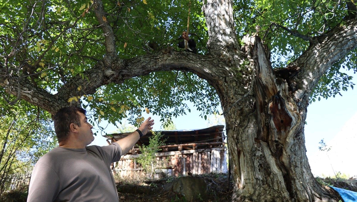 Mahalle sakinleri Mahalle sakinleri