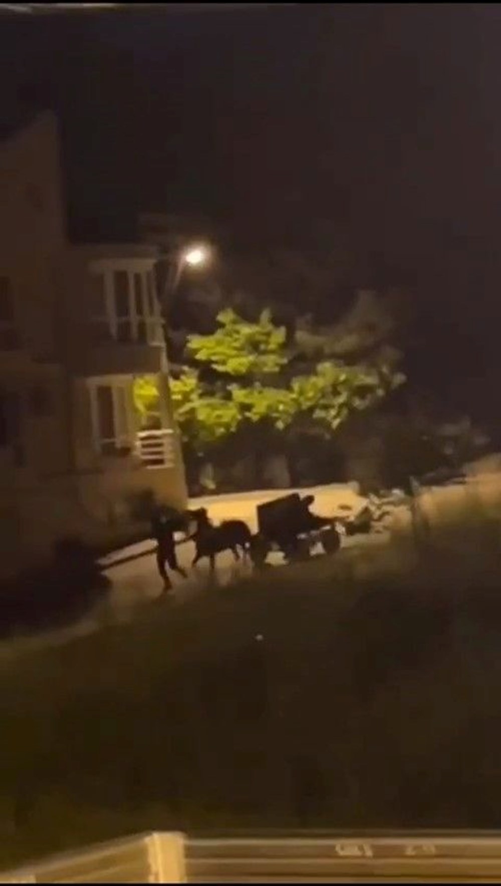 Film gibi kovalamaca: At arabasıyla polisten kaçtılar - 1