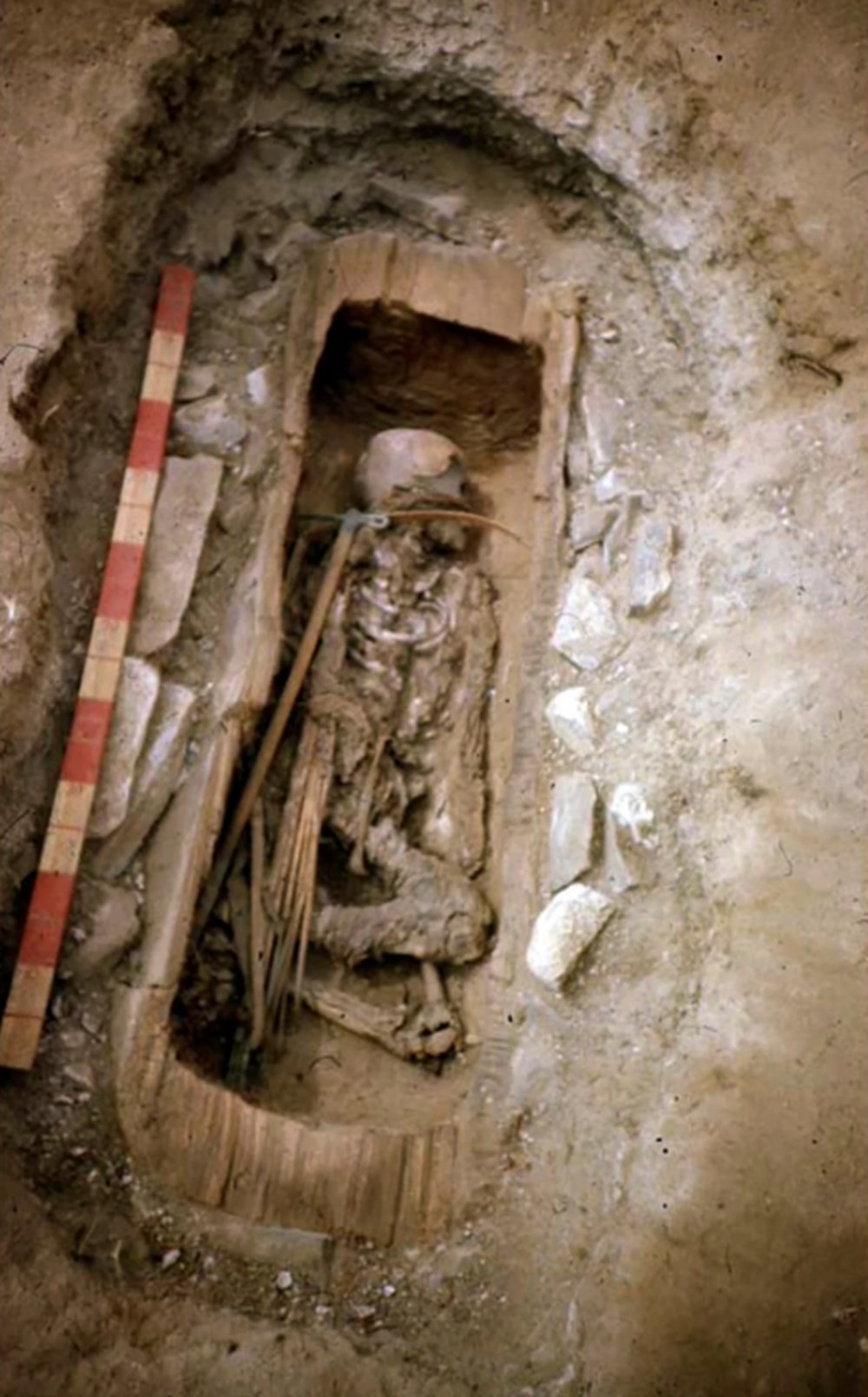 2 bin 600 yıl önce ölen Amazon savaşçısının mumyası bulundu - 2