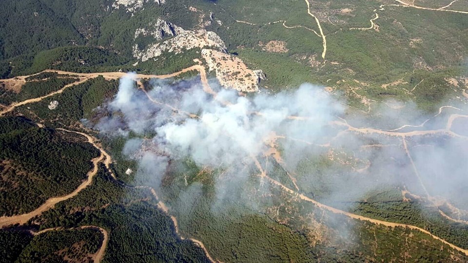 İzmir Menderes'teki orman yangını davası sanığına 5 yıl hapis - 1