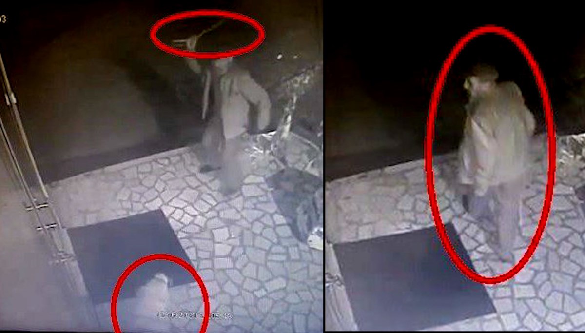 Engelli köpeği sopayla dövdü