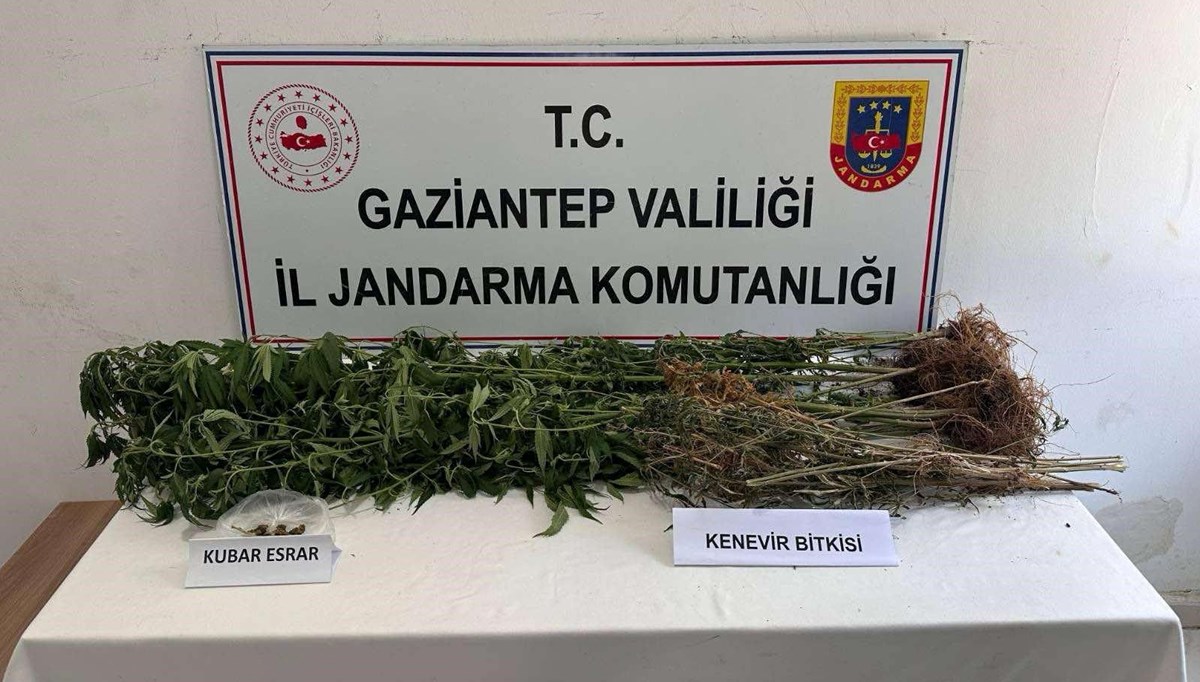 Gaziantep'te uyuşturucu operasyonu