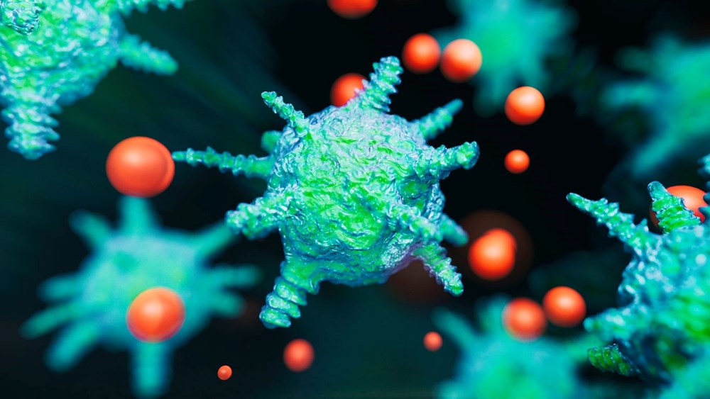 Dünya yeni bir salgınla karşı karşıya: Hızla artan Norovirüs nedir, belirtileri nelerdir, nasıl korunulur? - 4