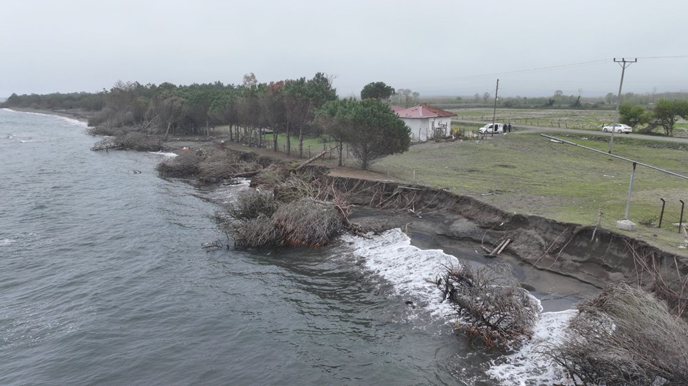 Terme Ovası'nda kıyı erozyonu ağaçları devirdi 76 RiZXr3rl2UOi6g9XlWyaTg