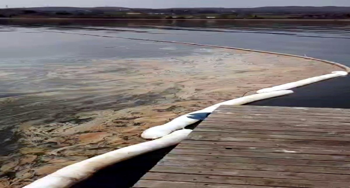 NATO boru hattından sızan akaryakıt Sapanca Gölü'ne karıştı