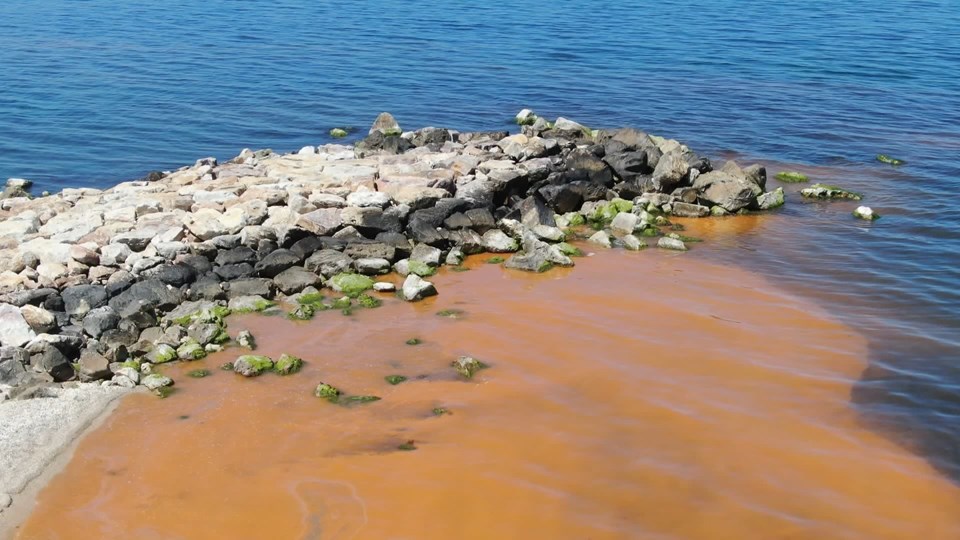 Karadeniz'in rengi korkuttu: İlk defa böyle bir şey gördük - 2