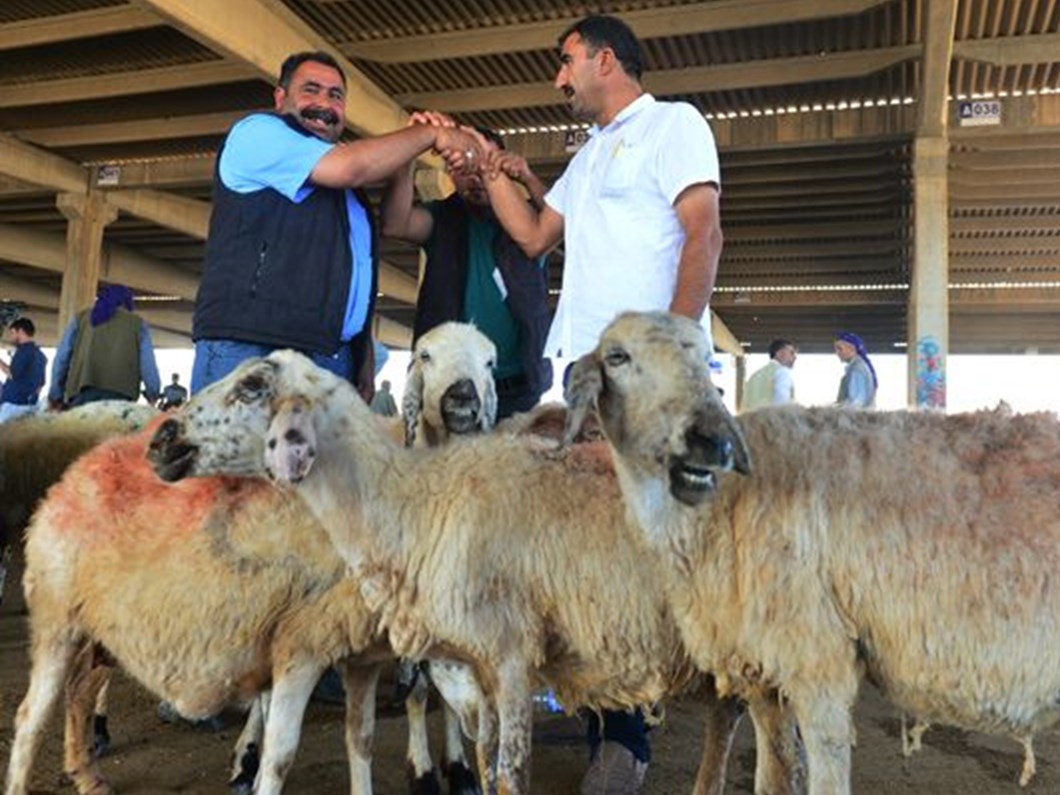 son dakika haberi diyanet ten kurban kesimi ve vekalet aciklamasi