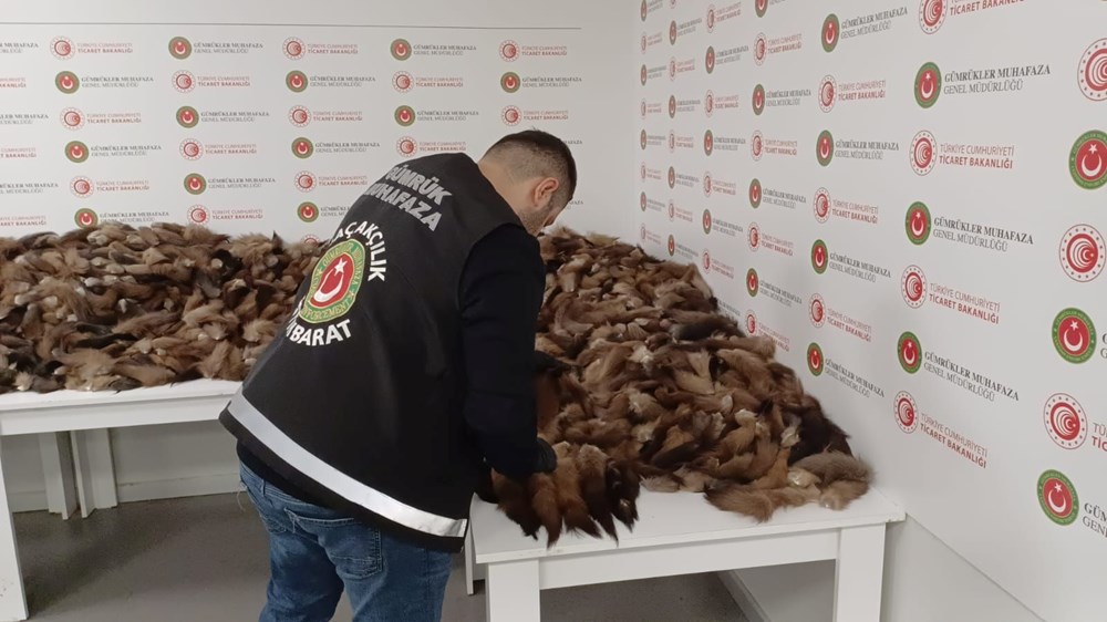 İstanbul Havalimanı’nda 10 bin 300 adet tilki kuyruğu ele
geçirildi - 2