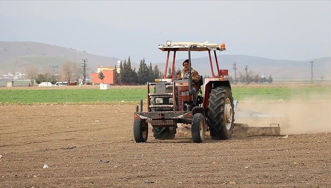 Tarım ÜFE kasımda arttı