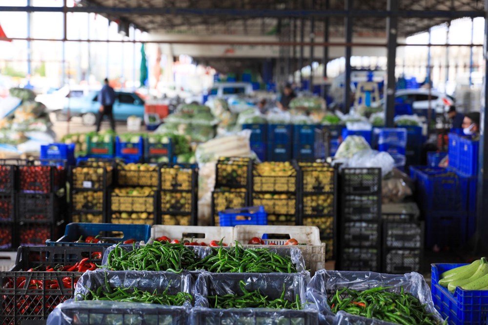 Sınırda 20 gündür süren TIR kuyruğu çilesi - 2