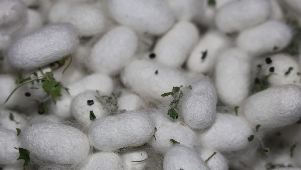 Elazığ tarihinin en büyüğünü kurdu: Onlarca yeni üreticiye ilham oldu