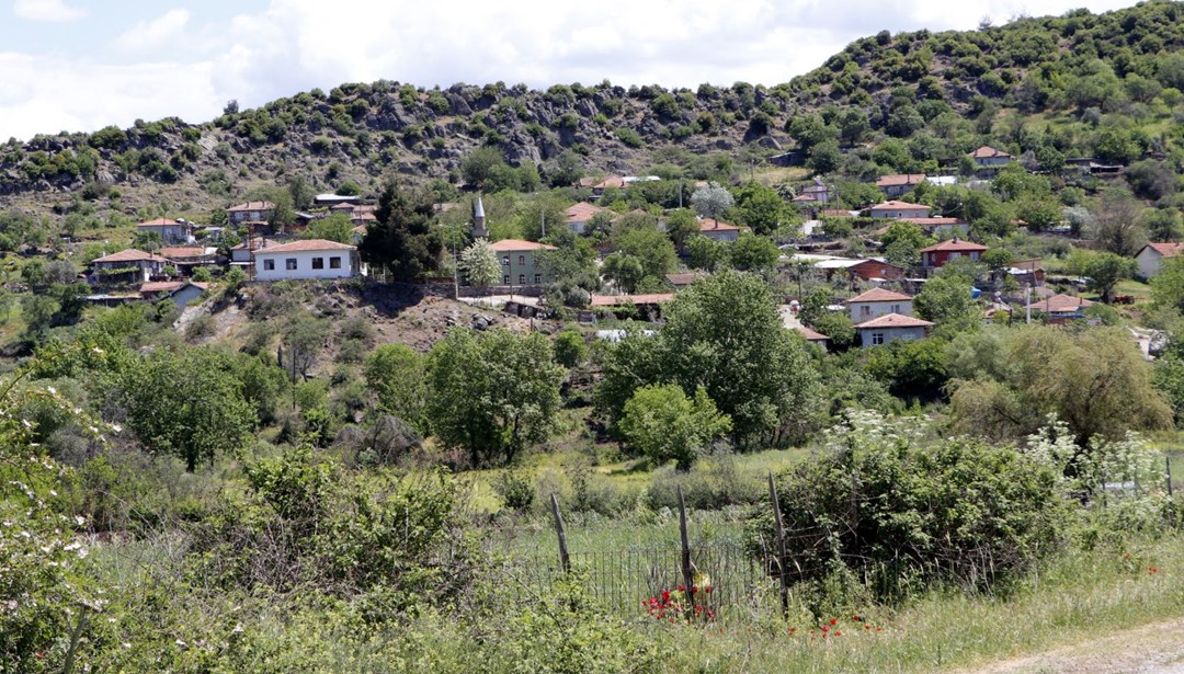 banu alkan öldü