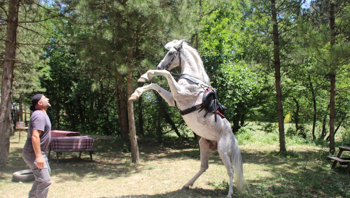 Sosyal medyada ilgi odağı oldu! 