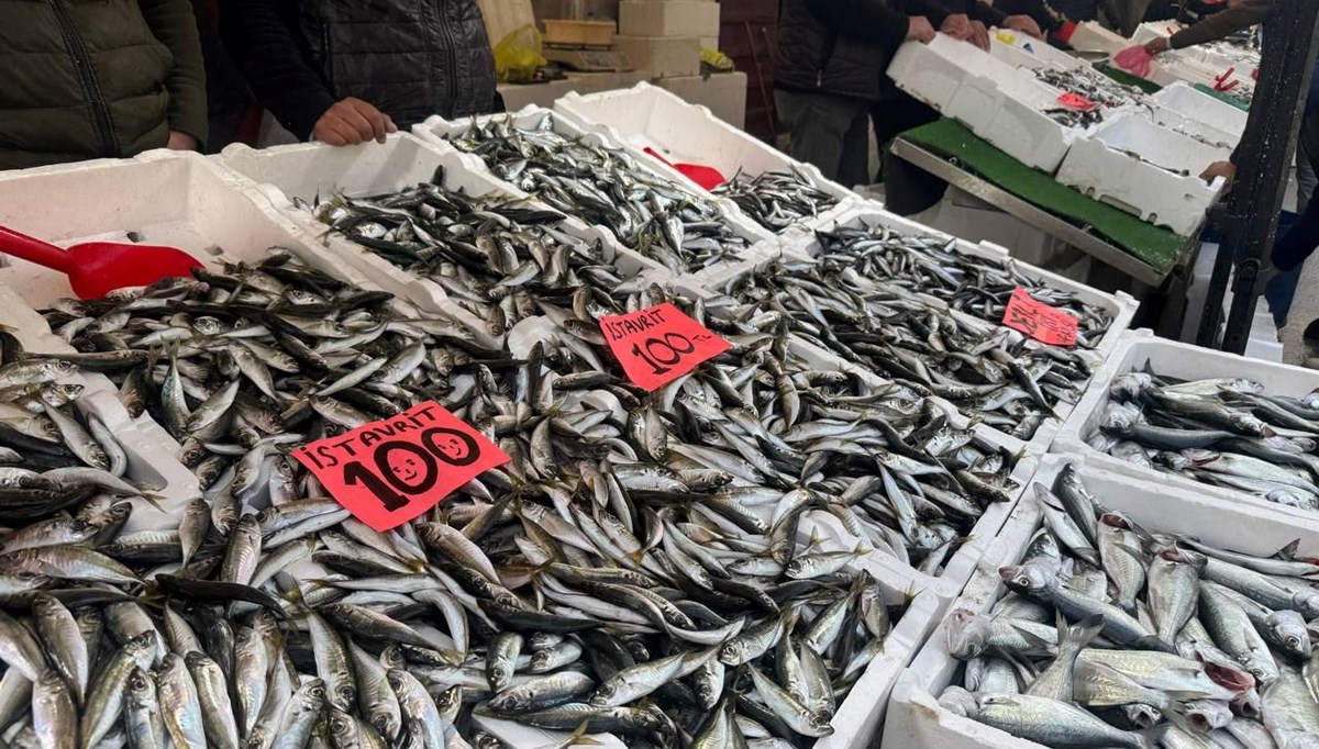 Zonguldak'ta istavrit tezgahları şenlendirdi